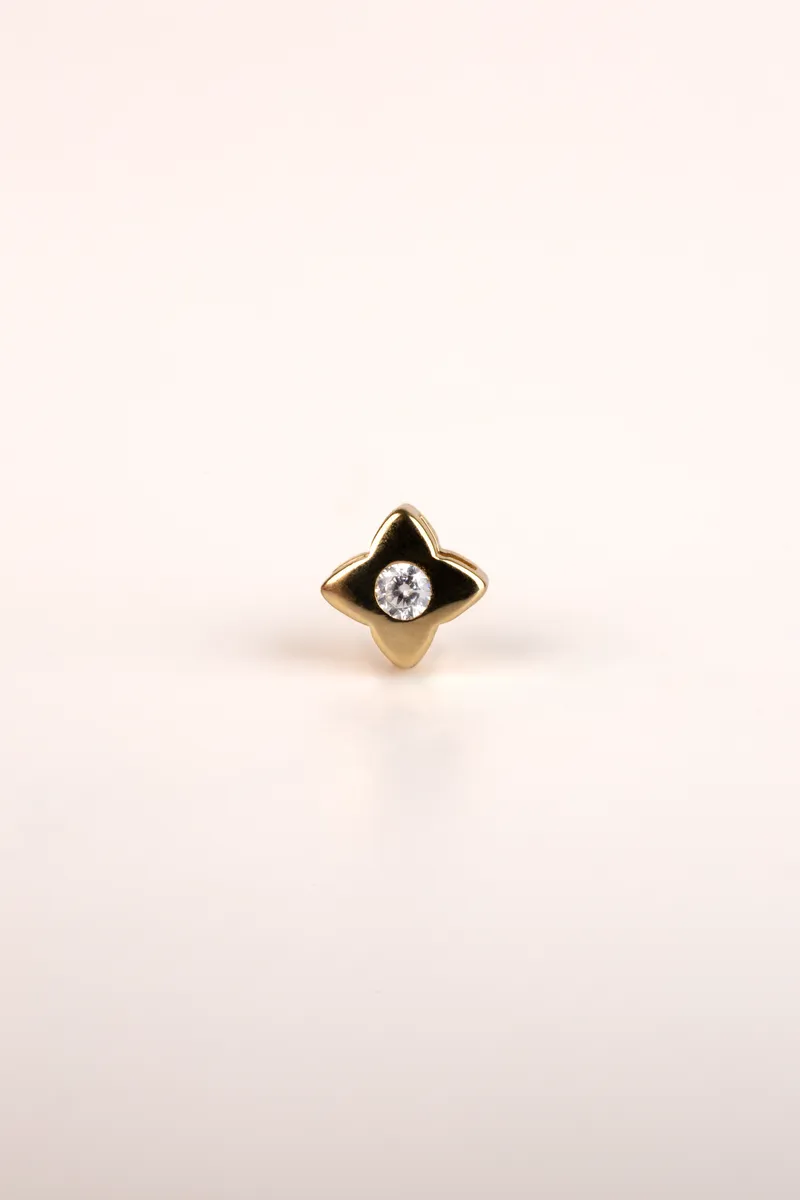 Gold Star Stud Earrings